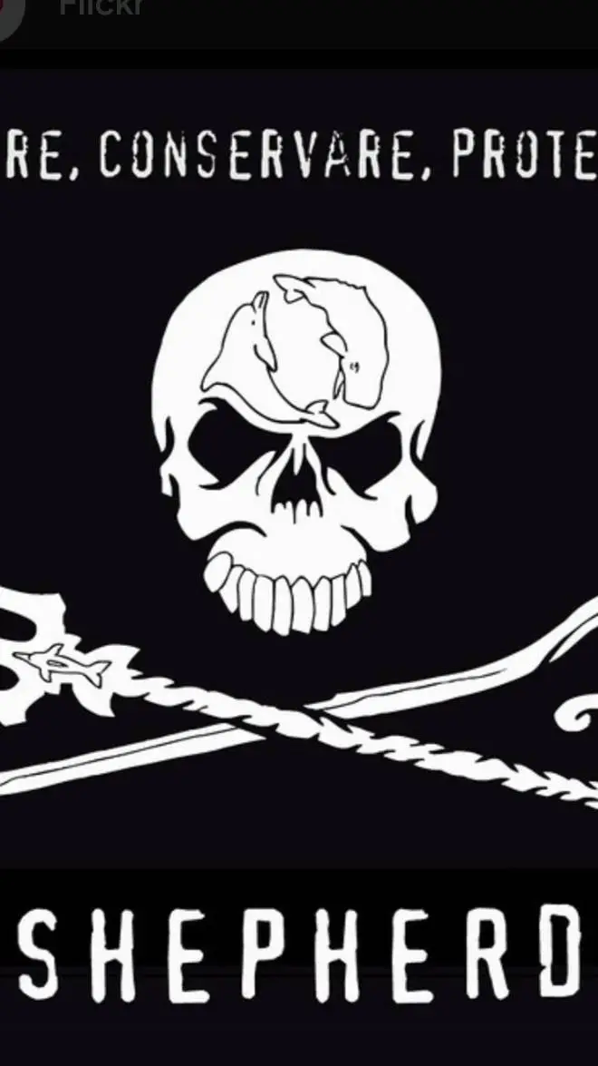 ai character: The Sea Shepherds background