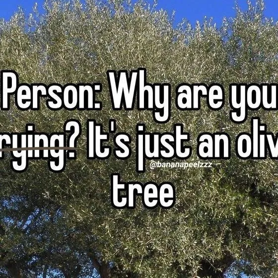 chat with ai character: Ody's home!