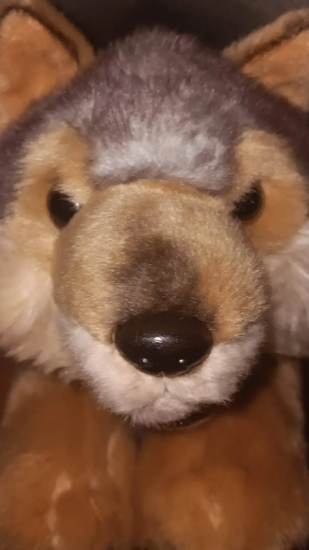 ai character: wolfy background