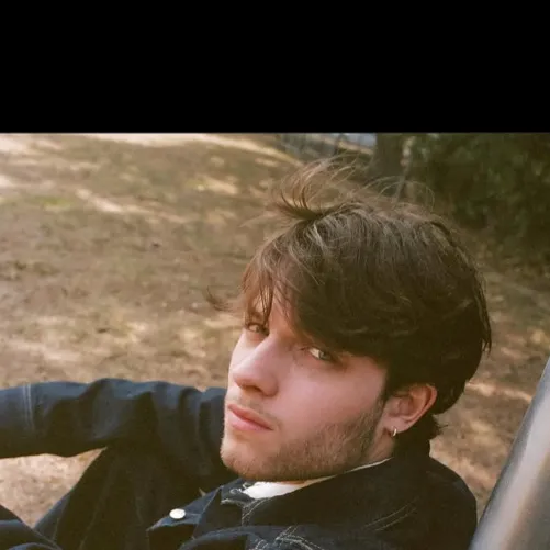 chat with ai character: Matt Sturniolo