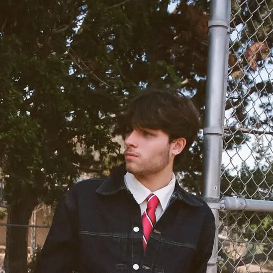 chat with ai character: Matt Sturniolo