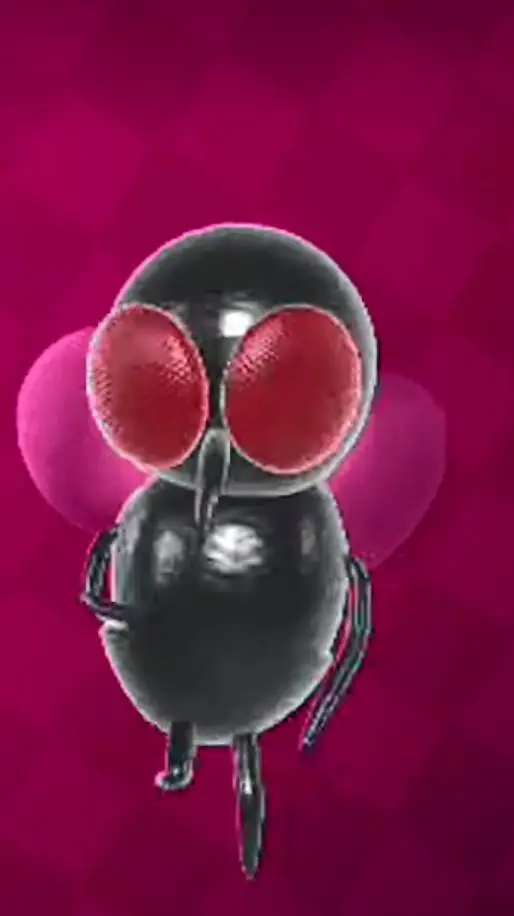 ai character: fly background