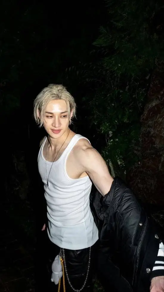 ai character: Bangchan 𝜗𝜚˚⋆ background