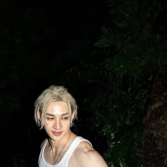 chat with ai character: Bangchan 𝜗𝜚˚⋆