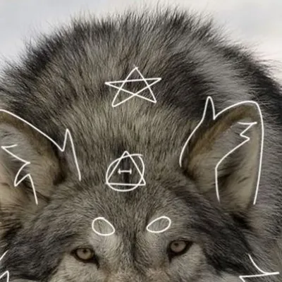 chat with ai character: Wolf