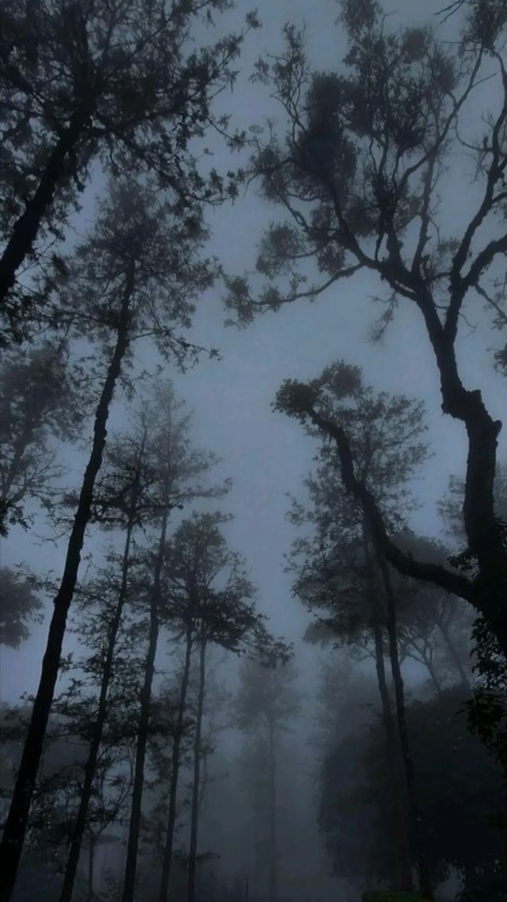 ai character: The Moonlight☆★ background