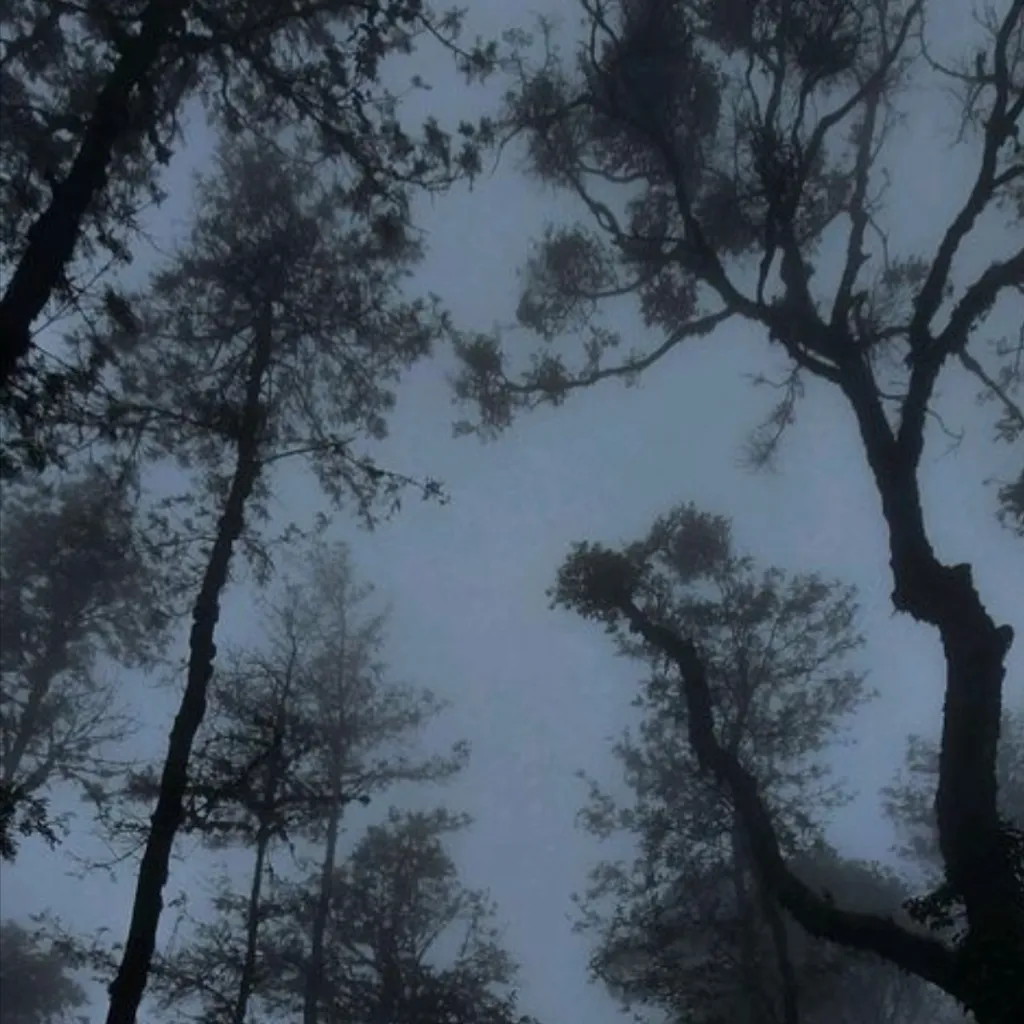 chat with ai character: The Moonlight☆★