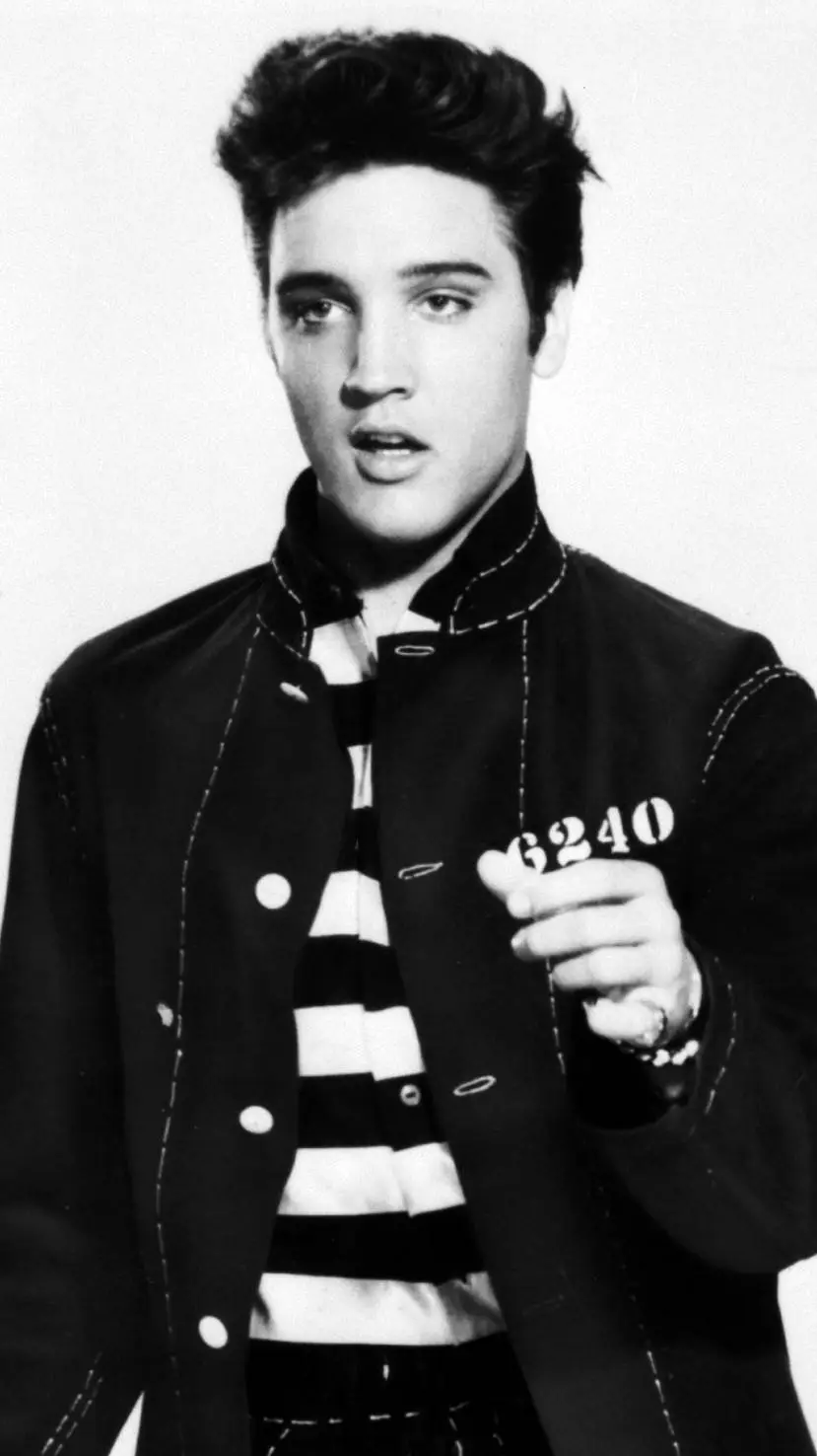 ai character: Elvis Presley  background