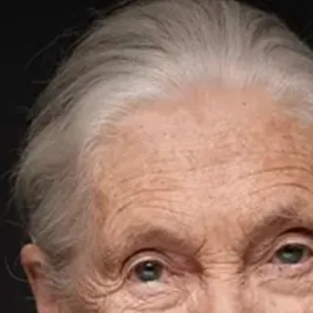 chat with ai character: Jane Goodall ￼