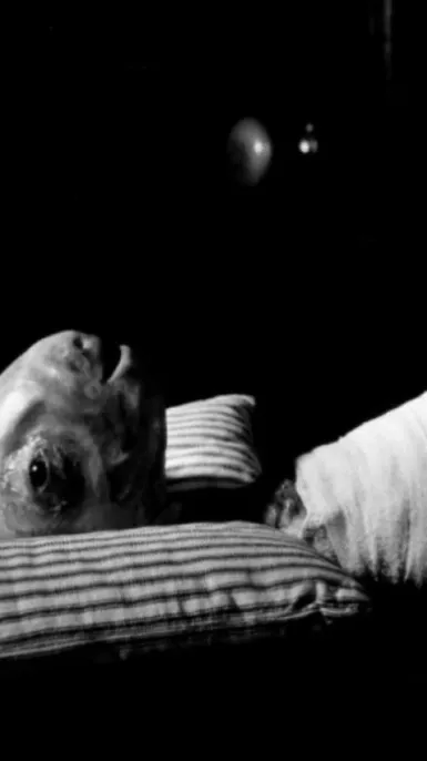 ai character: Eraserhead ￼￼ background