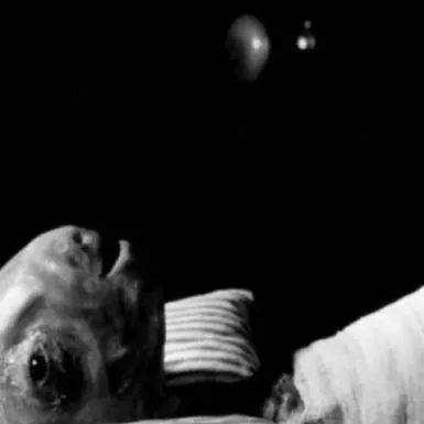 chat with ai character: Eraserhead ￼￼