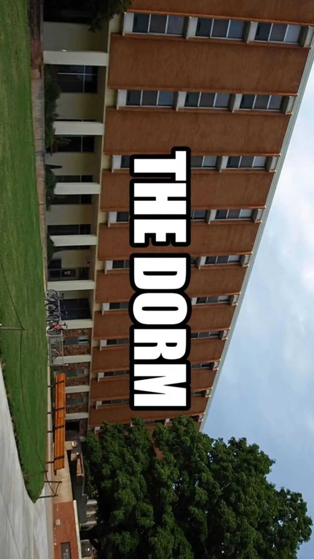 ai character: College but DBZ background