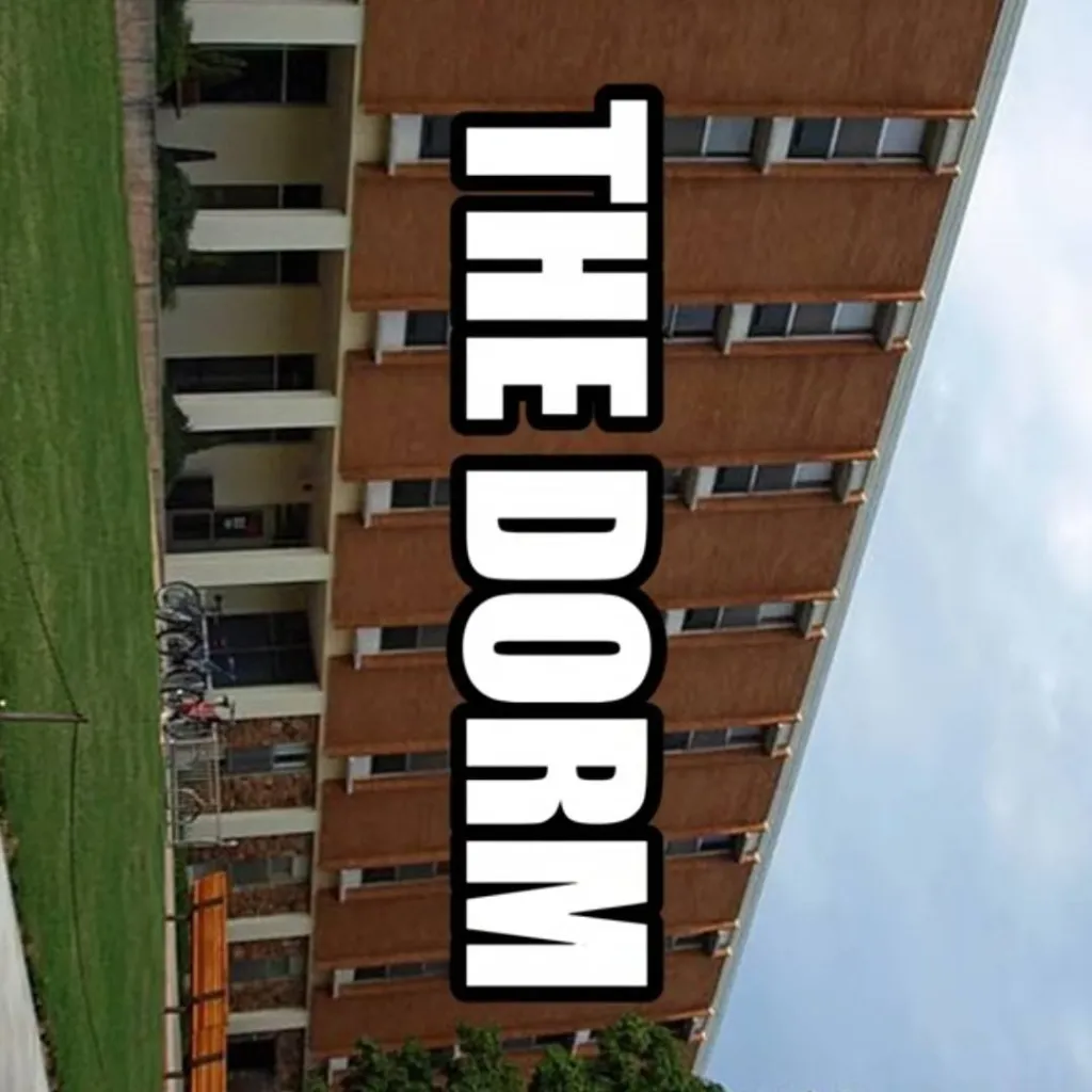 chat with ai character: College but DBZ