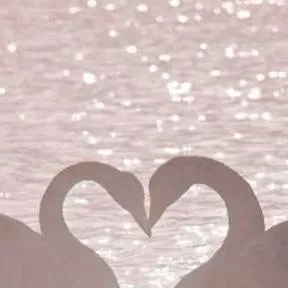 chat with ai character: You Are favorite