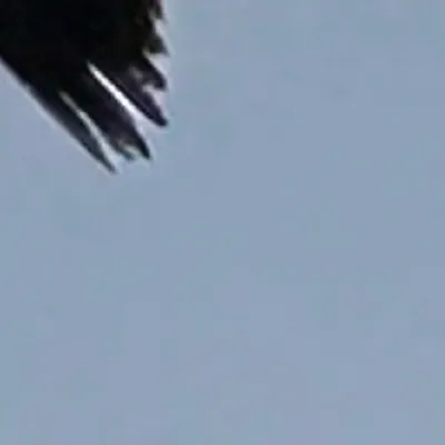 chat with ai character: Harry Hook