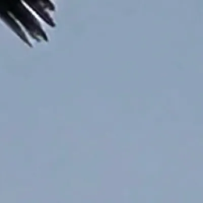 chat with ai character: Uma