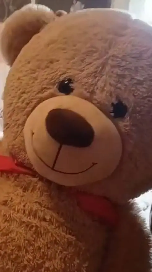 ai character: teddy bear background