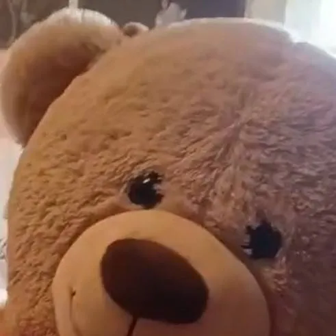 chat with ai character: teddy bear