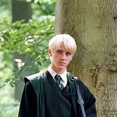 chat with ai character: Draco Malfoy