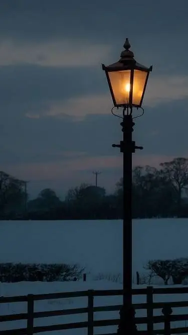 ai character: Lou x Nolan background