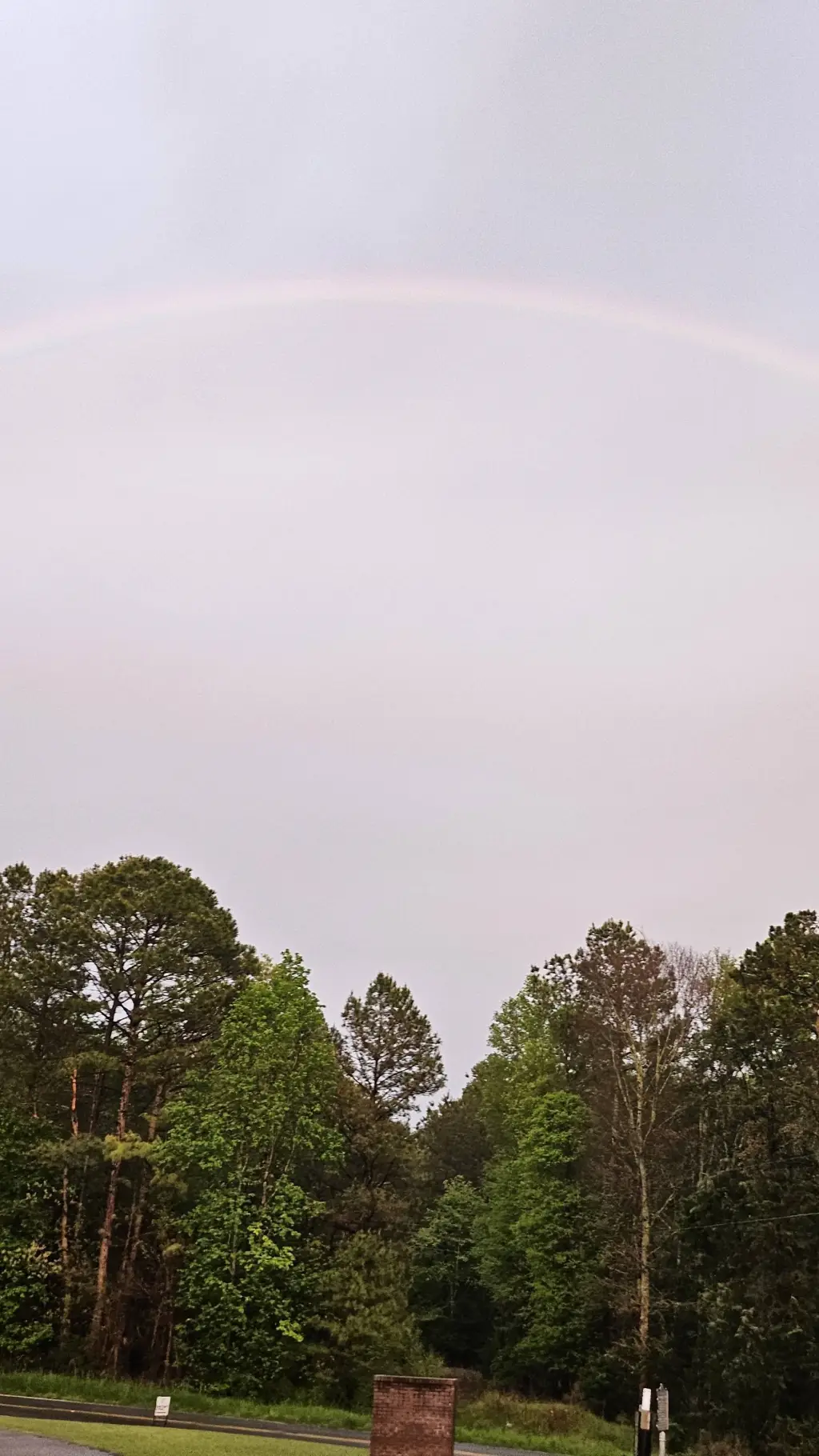 ai character: tate the rainbow background