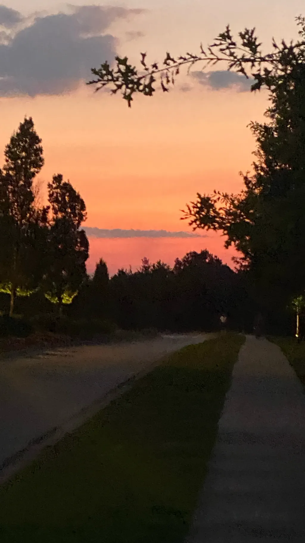 ai character: COD PARTY background