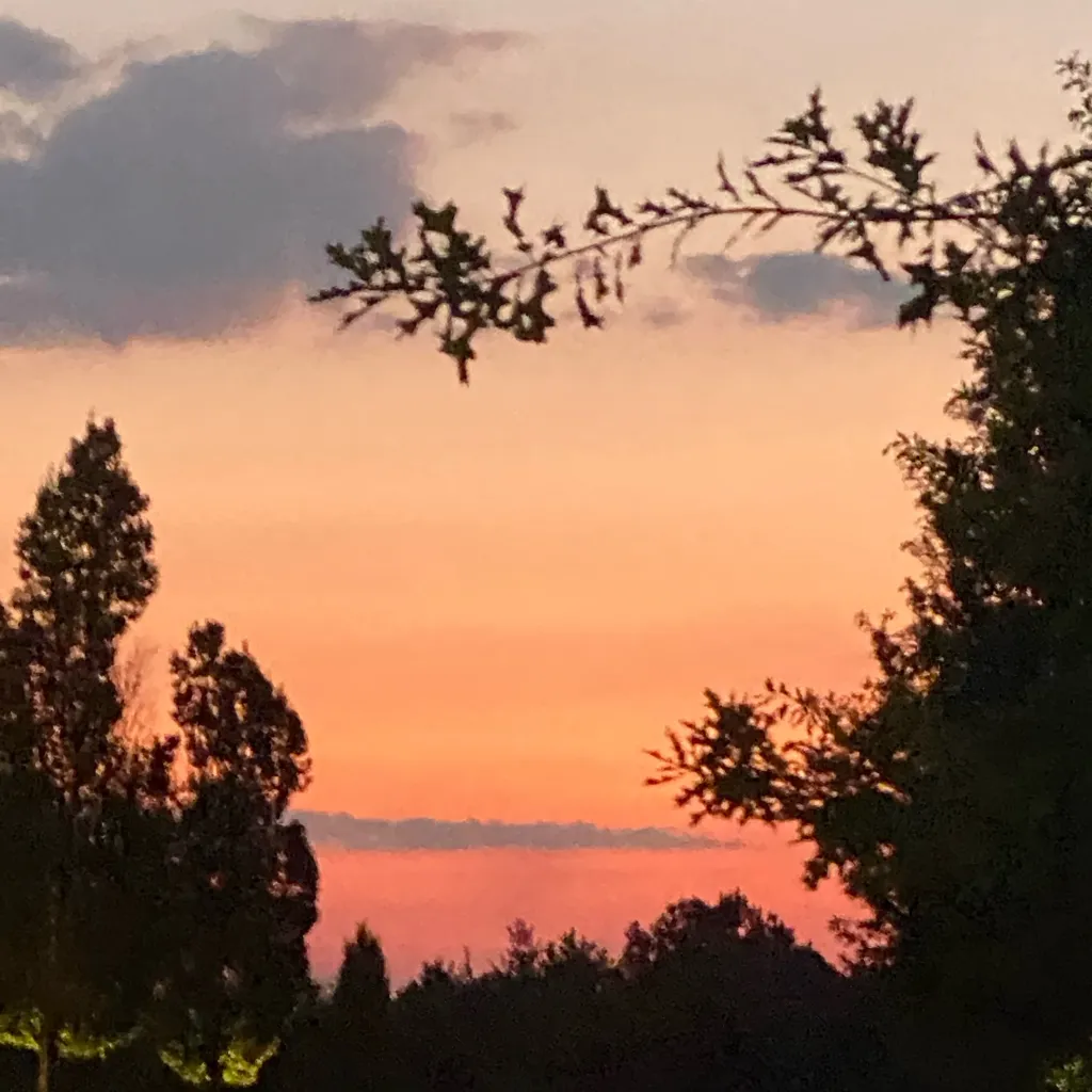 chat with ai character: COD PARTY