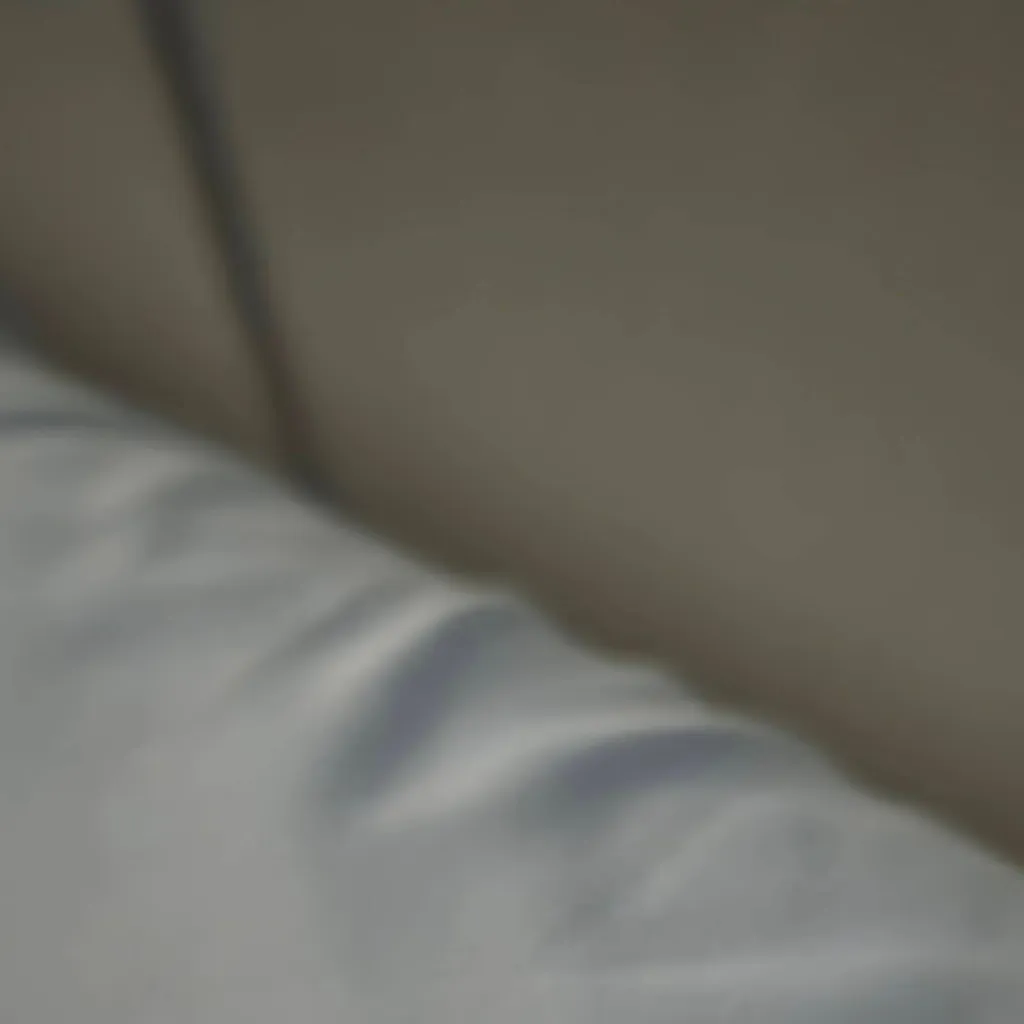 chat with ai character: Elara