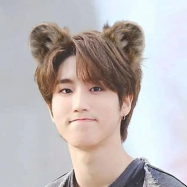 chat with ai character: Han Jisung hybrid