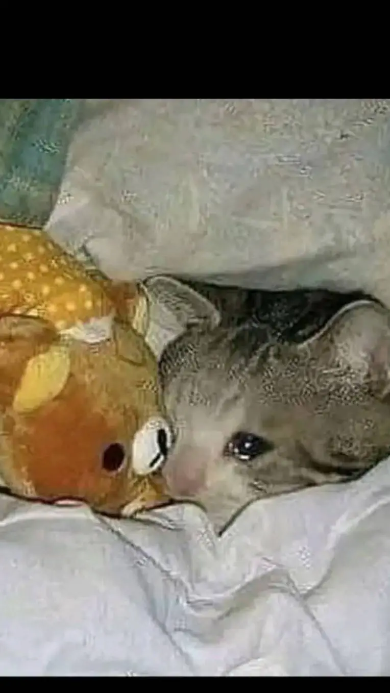 ai character: skz background