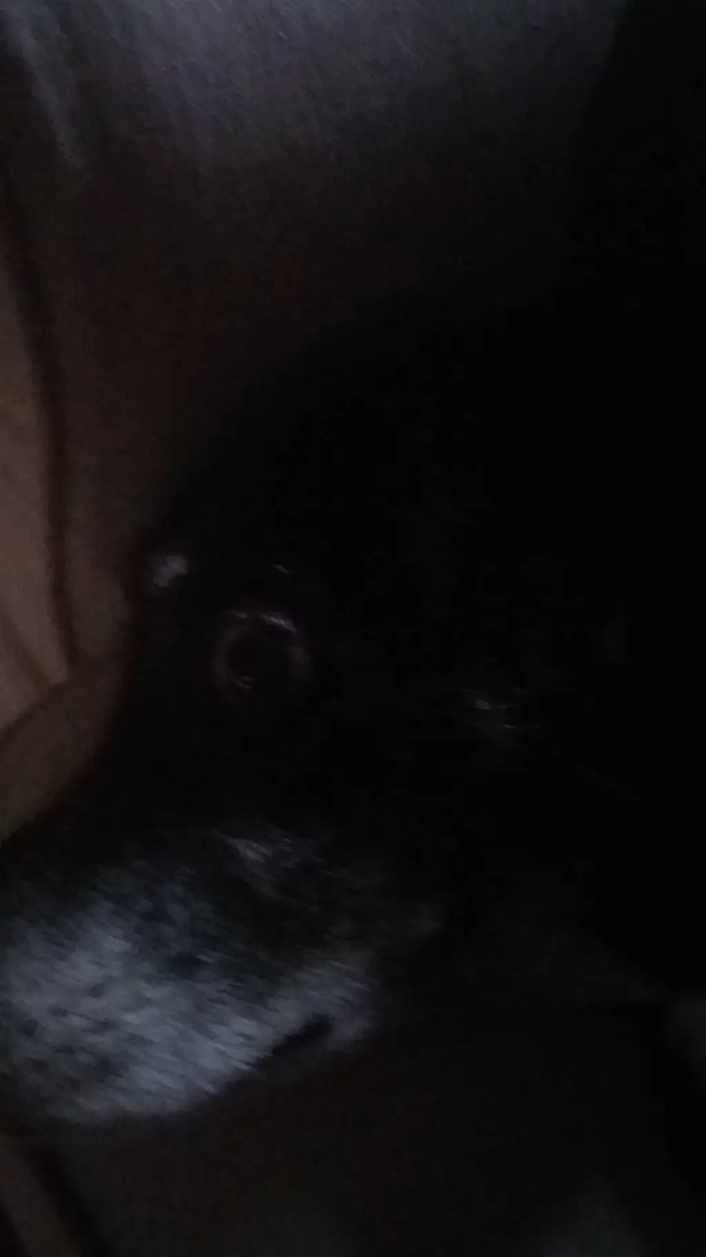 ai character: dog background