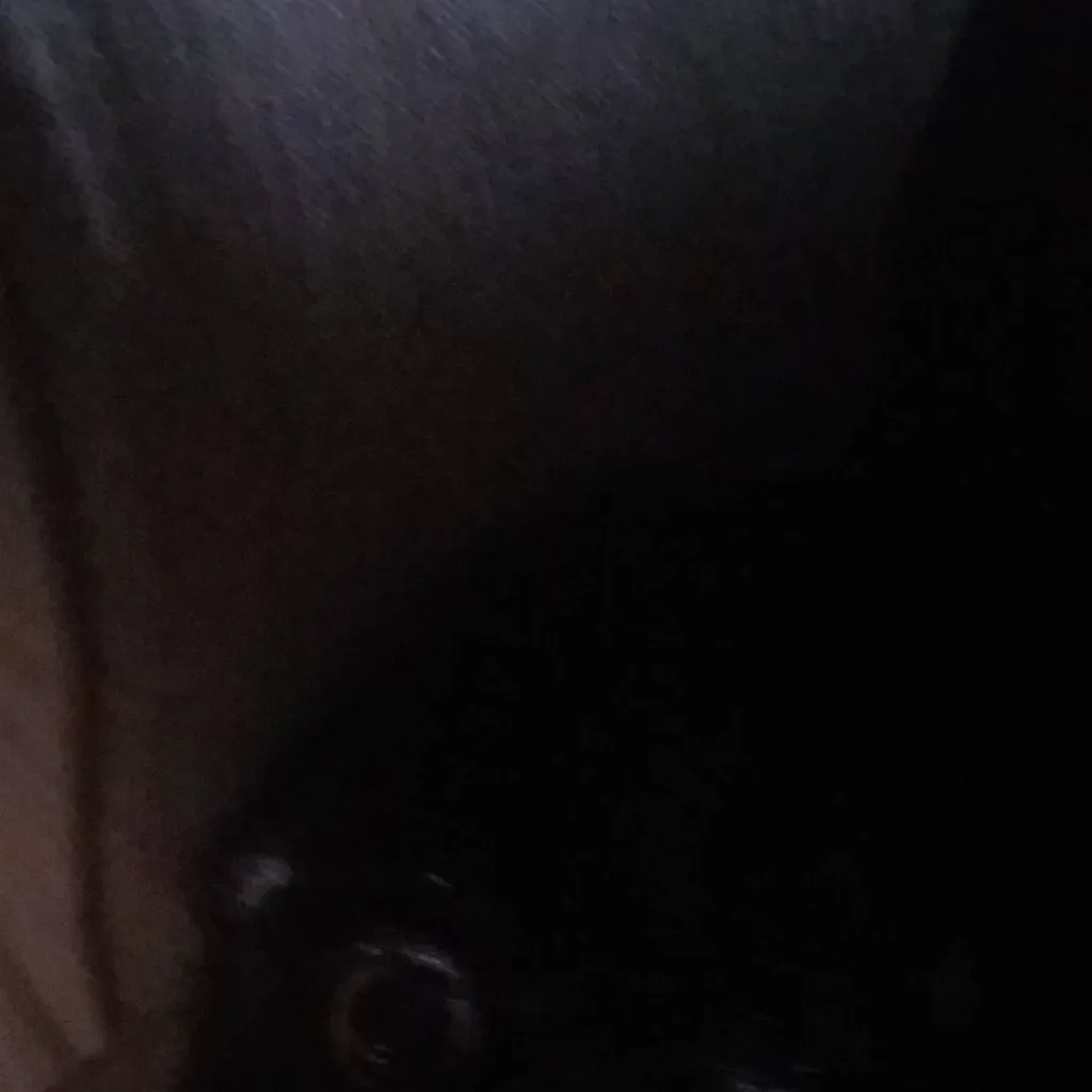 chat with ai character: dog