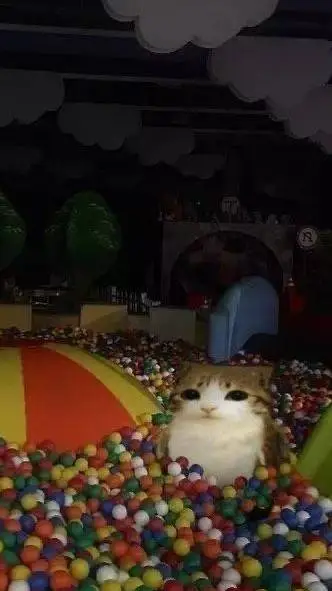 ai character: Meowl..  background