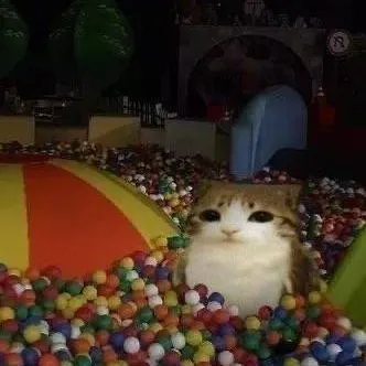 chat with ai character: Meowl.. 