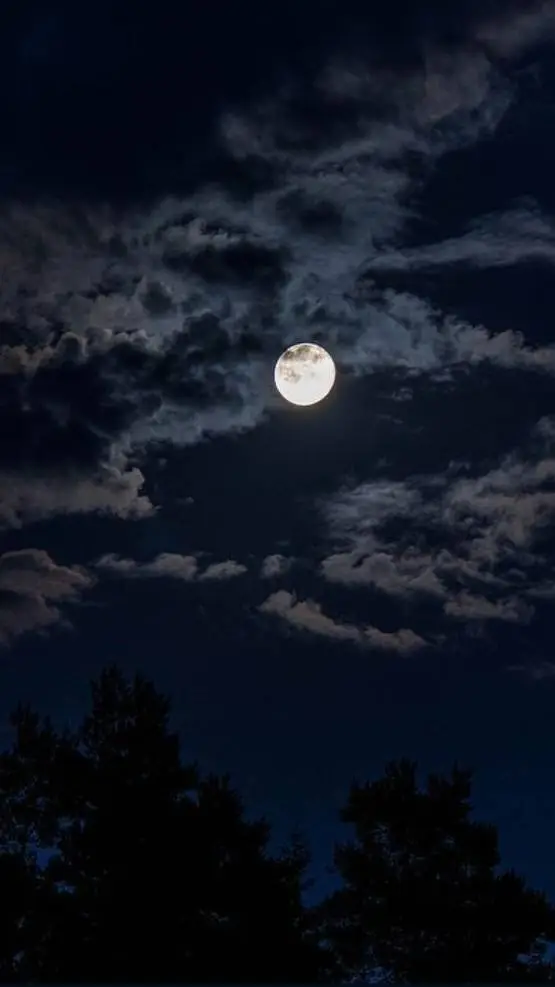 ai character: Hiro Hamada background