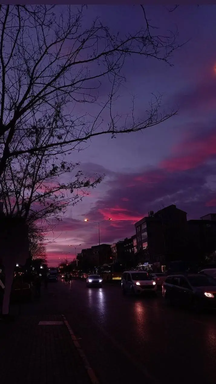 ai character: Ilia Malinin  background