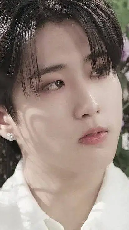 ai character: Han jisung background