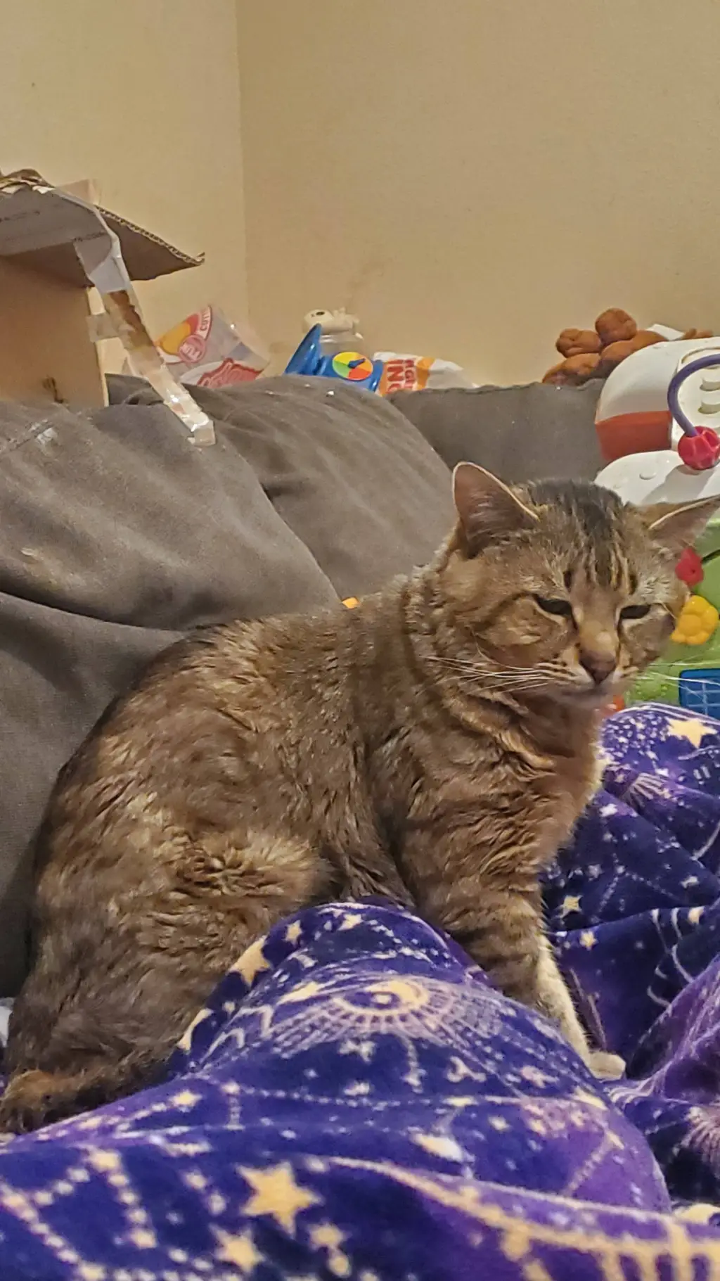 Talkie AI - Chat with  Can't type this