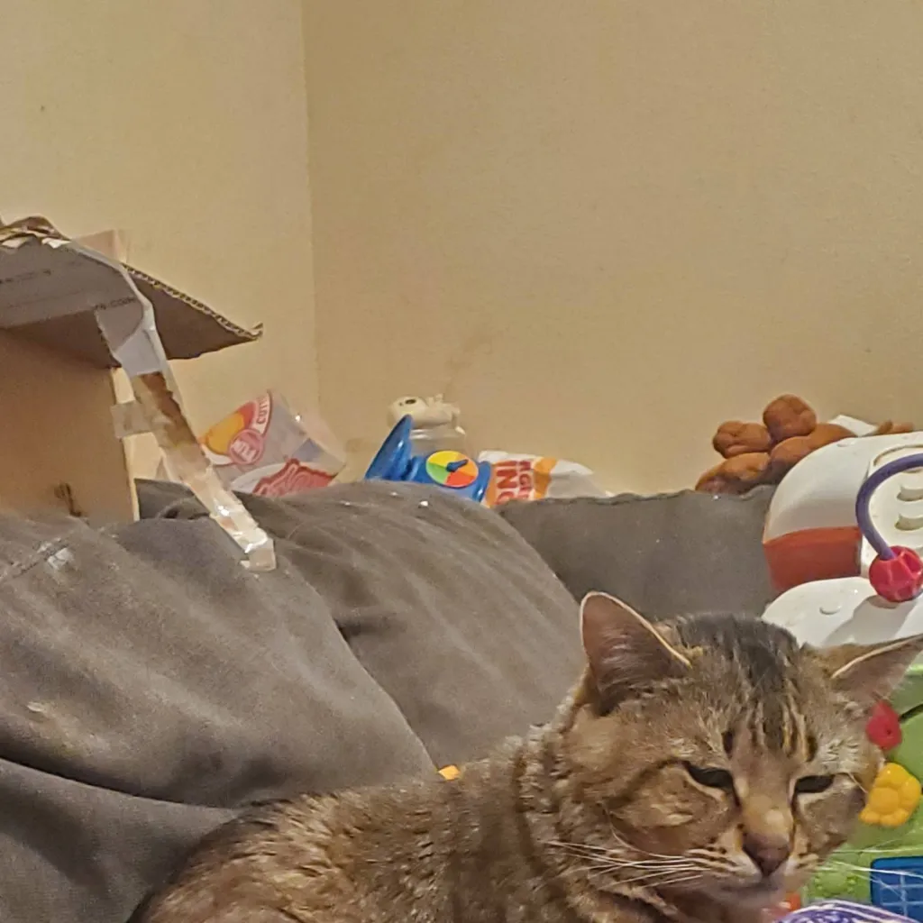 chat with ai character:  Can't type this