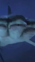 ai character: 3 headed shark background