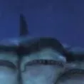 chat with ai character: 3 headed shark