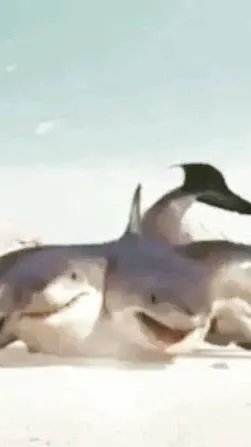 ai character: 6 headed-sharks ￼ background