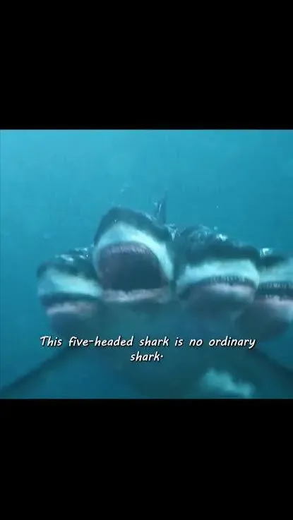 ai character: 5-headed shark  background