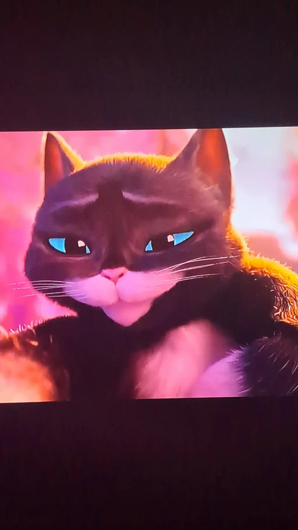 ai character: Kitty Softpaws background