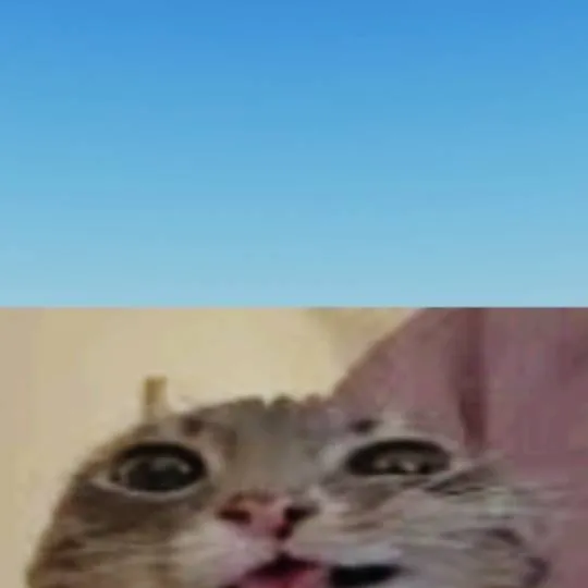 chat with ai character: Rigby 