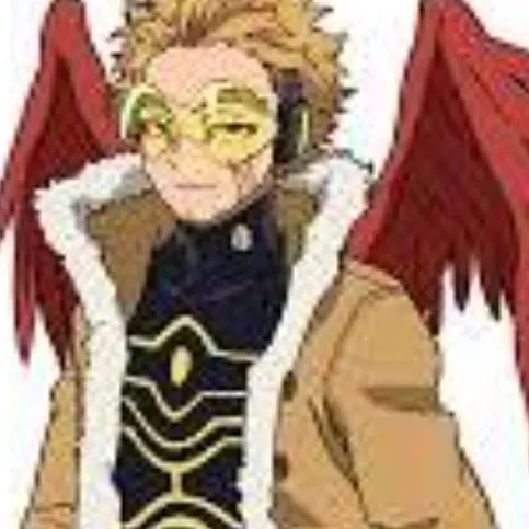 chat with ai character: hawks