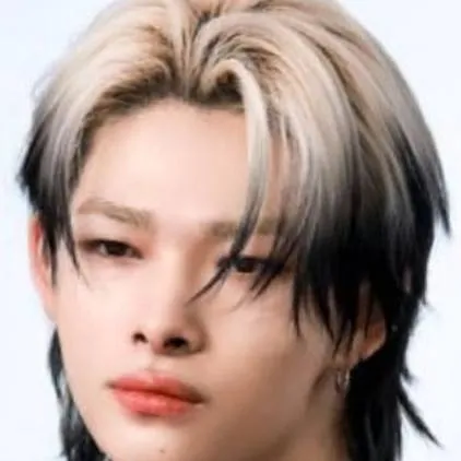 chat with ai character: Niki Enhypen