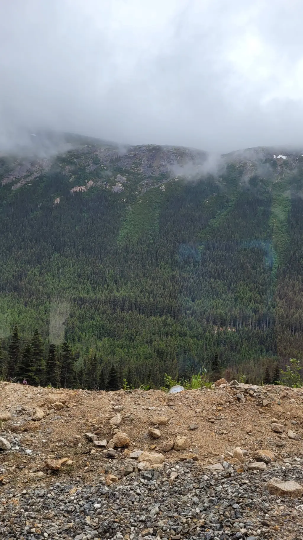 ai character: ... background