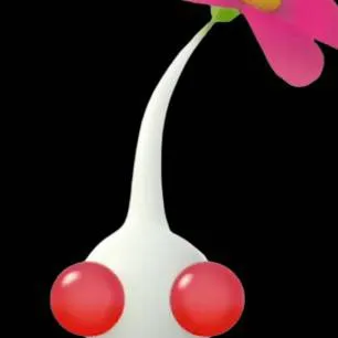chat with ai character: White Pikmin