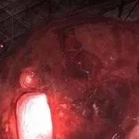 chat with ai character: SCP-002